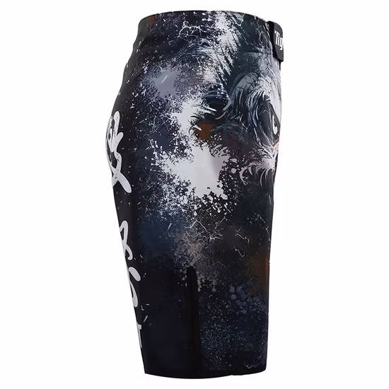 Оптовая продажа на заказ для мужчин с прорезями, сублимационная печать, шорты для борьбы без Ги Bjj Fight MMA